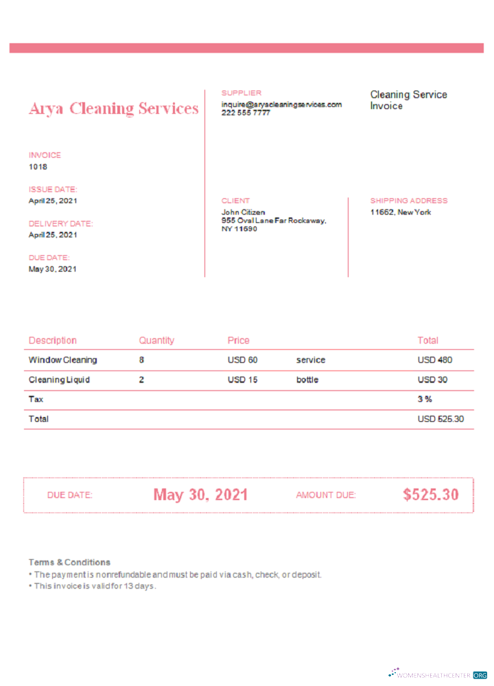 Download USA Arya Cleaning Services invoice Photoshop template